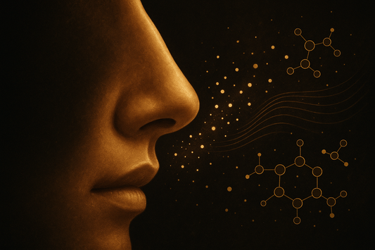 This Tiny Organ in Your Nose May Be Controlling Who You Attract